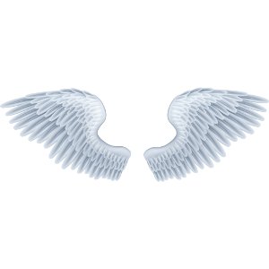Духовные крылья