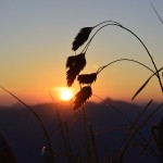 Природа